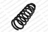 LESJ?FORS 4049105 Coil Spring